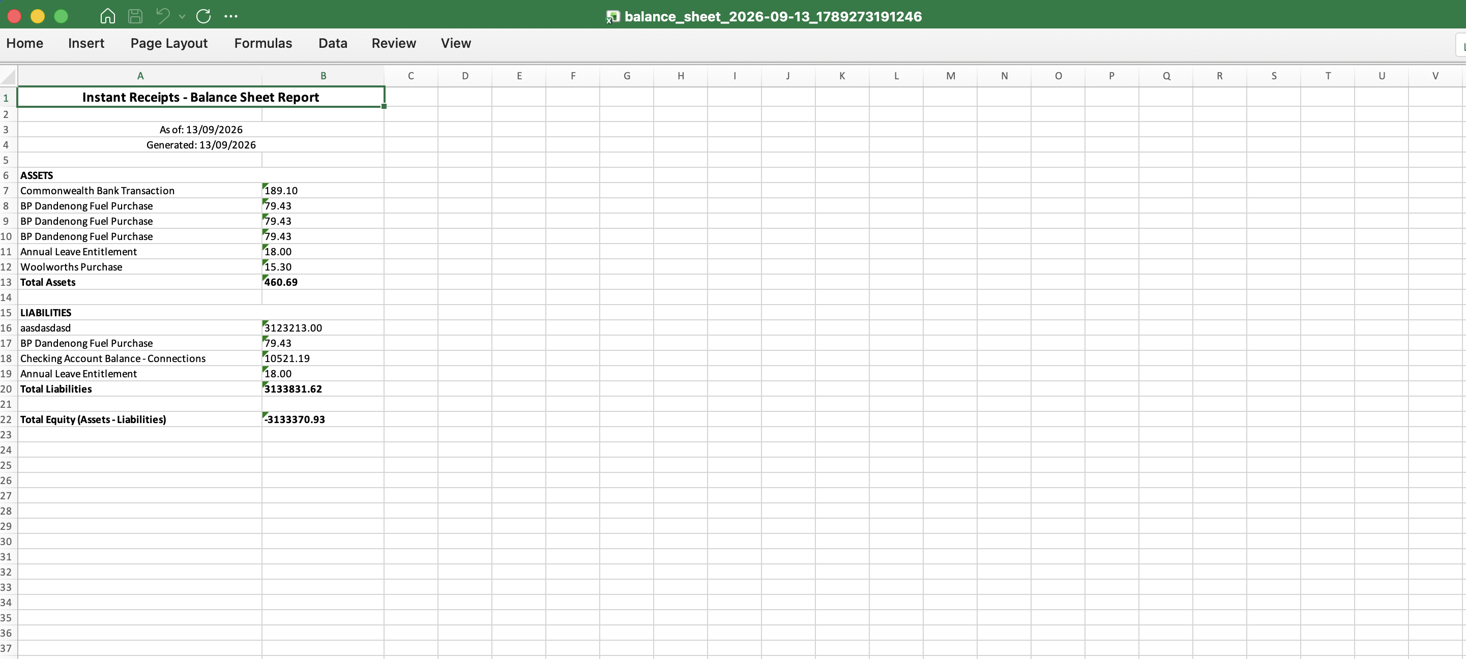 Preview Your Balance Sheet Excel Report