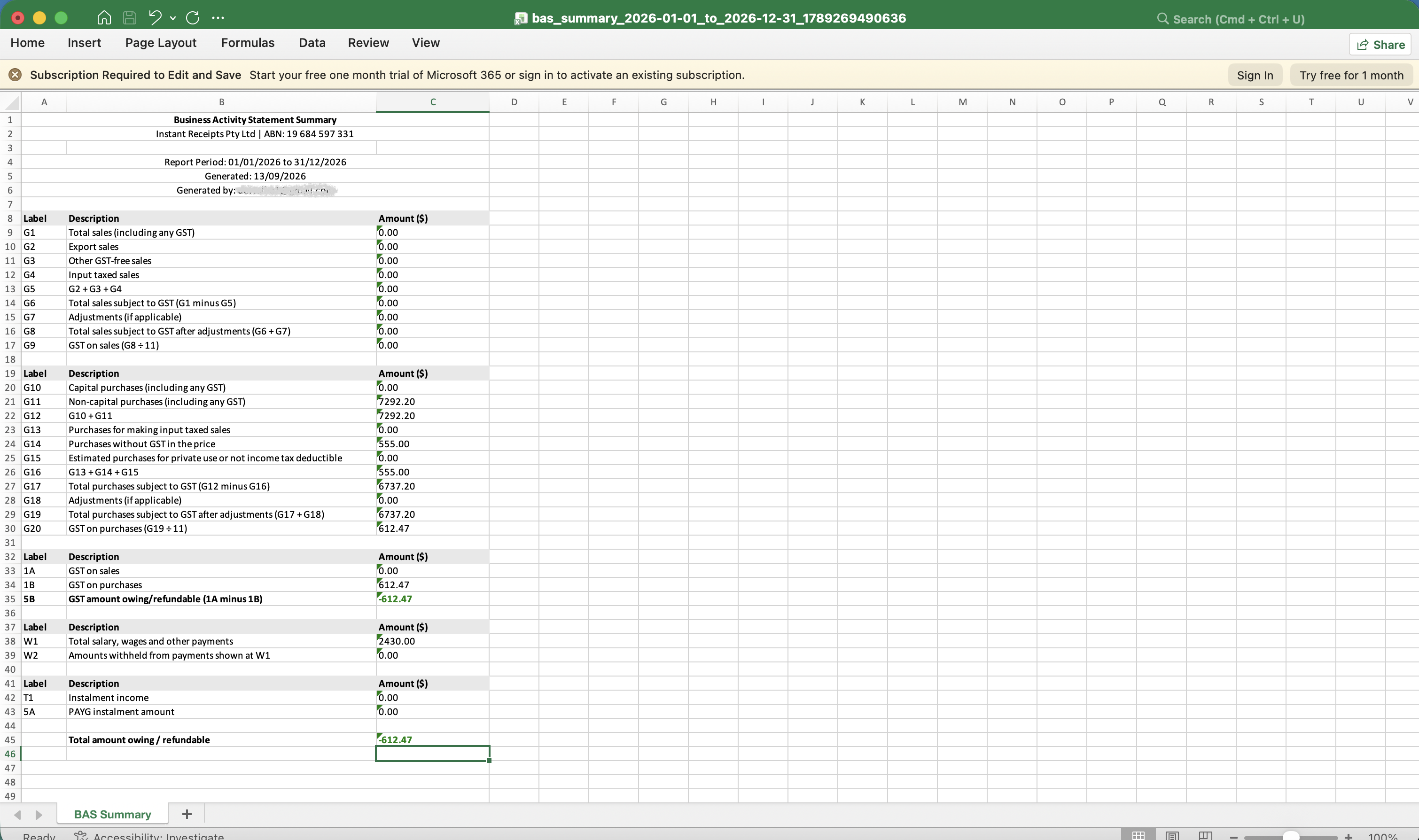 Preview Your BAS Summary Excel Report